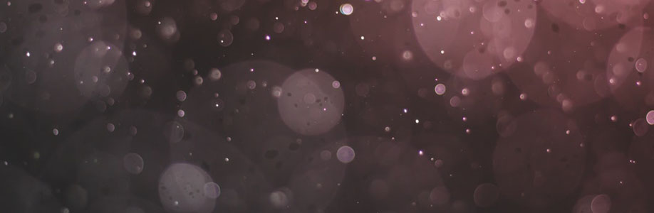 mollynewport83 Cover Image
